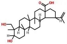 普菲德專題產(chǎn)品推薦-白頭翁系列(圖2)