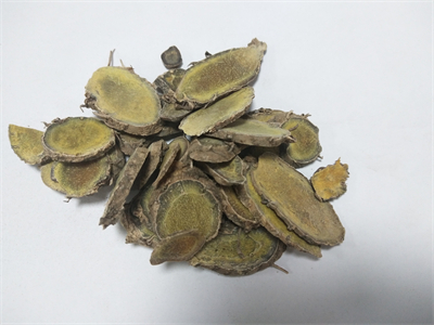 普菲德專(zhuān)題產(chǎn)品推薦-蓬莪術(shù)系列