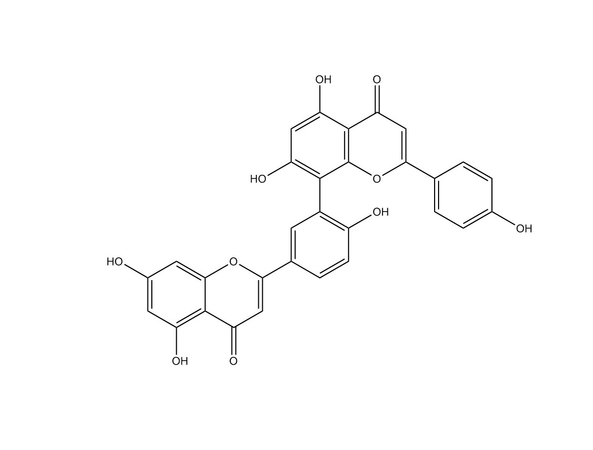 穗花杉雙黃酮|1617-53-4