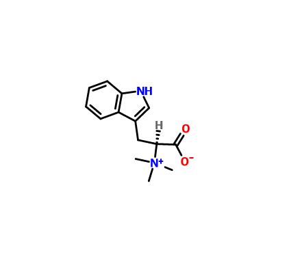 刺桐堿|487-58-1