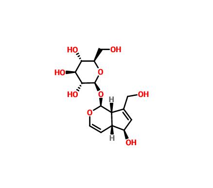 桃葉珊瑚苷 479-98-1 Hyodeoxycholic acid